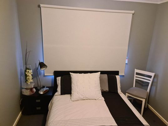 Plain Blockout Roller Blinds - All Blinds OnlineRoller Blinds